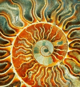 sunspiral